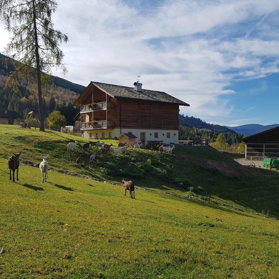 テーゼロ Agritur Maso Piasinaヴィラ エクステリア 写真