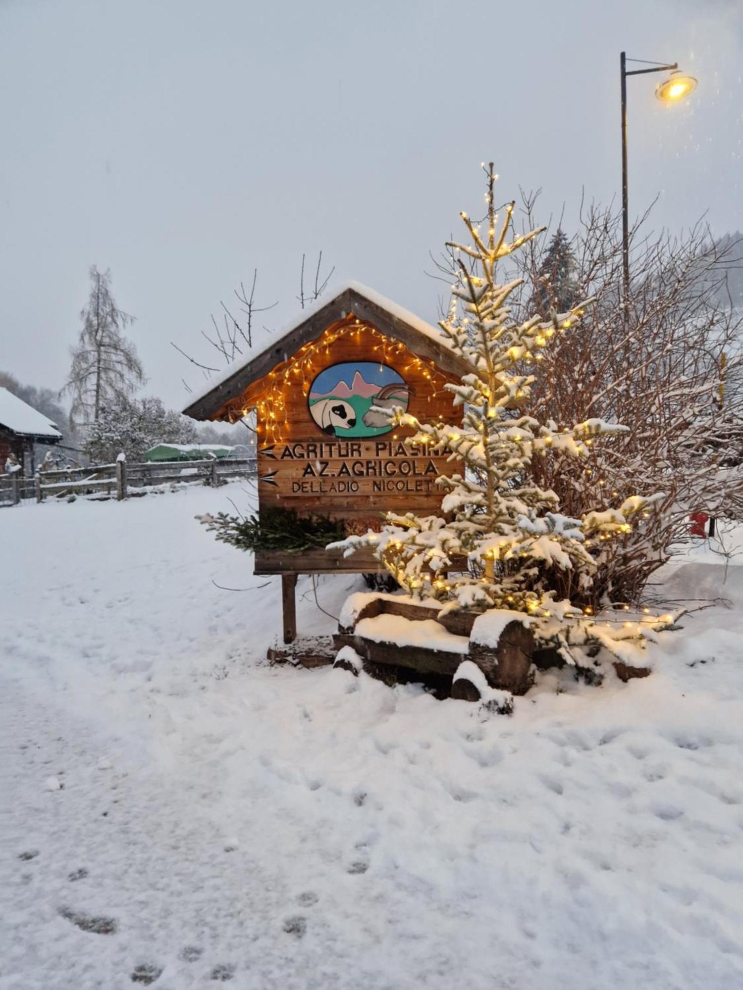 テーゼロ Agritur Maso Piasinaヴィラ エクステリア 写真