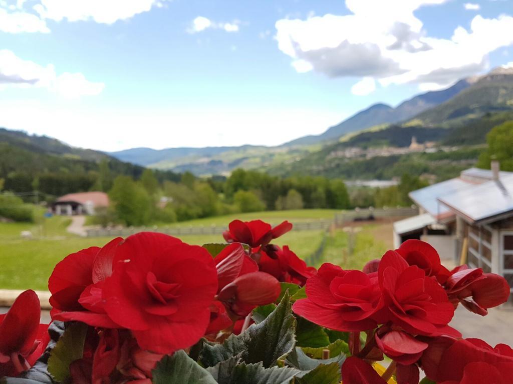 テーゼロ Agritur Maso Piasinaヴィラ エクステリア 写真