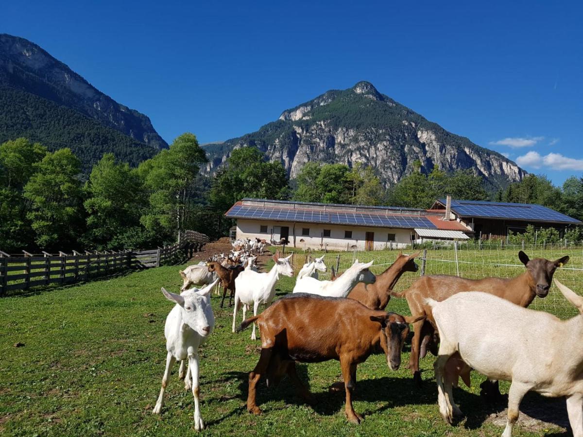 テーゼロ Agritur Maso Piasinaヴィラ エクステリア 写真